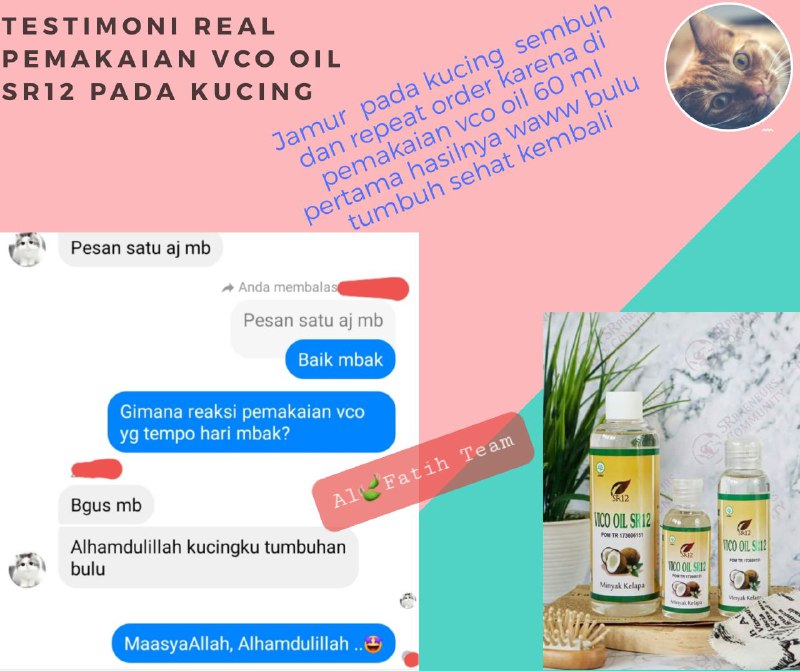 Hay pecinta kucing...Bulu Kucing tumbuh kembali & sehat setelah di Olesin  VCO SR12 lo....maasyaAllah dan ada juga kucingnya jadi lahap makannya setelah konsumsi VCO SR12...mantuuul #VCO_SR12 #MinyakSejutaManfaatWA/telegram 👉0821-5799-8873AGEN RESMI SR12 HERBAL SKINCARE BALIKPAPAN