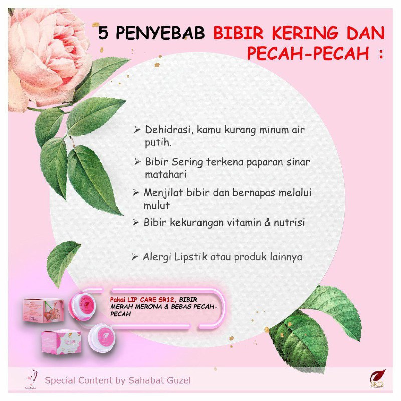 Lip Care SR12 si kecil mungil vitamin bibir yang sedang booming ini makin merajai dunia perbibiran 🤭🤩,Bagaimana tidak? Dengan hrga yg di bandrol cukup terjangkau,  kamu di suguhkan seabrek manfaat dg kualitas terbaik. .Bibir hitam jadi cerahBibir retak2 jadi lembut mulus kembaliBibir kering jadi lembabBikin bibirmu merona2 alami, ranum menul2Bikin senyum manis selalu menghiasi wajahmuMantaaap Betullllll😃👍👍👍Ready ya:👄Lip care cherry (berwarna)👄Lip care Natural (tidak tampak berwarna,  jika diperlukan bagi pria bisa pilih varian ini ya.Wa/telegram 👉0821-5799-8873AGEN RESMI SR12 HERBAL SKINCARE BALIKPAPAN, KAL-TIM Atau silahkan kunjungi dan belanja di toko online kami di 👇tokopedia.com/sr12balikpapanAtaushopee.co.id/agenresmisr12Lip Care SR12 si kecil mungil vitamin bibir yang sedang booming ini makin merajai dunia perbibiran 🤭🤩,Bagaimana tidak? Dengan hrga yg di bandrol cukup terjangkau,  kamu di suguhkan seabrek manfaat dg kualitas terbaik. .Bibir hitam jadi cerahBibir retak2 jadi lembut mulus kembaliBibir kering jadi lembabBikin bibirmu merona2 alami, ranum menul2Bikin senyum manis selalu menghiasi wajahmuMantaaap Betullllll😃👍👍👍Ready ya:👄Lip care cherry (berwarna)👄Lip care Natural (tidak tampak berwarna,  jika diperlukan bagi pria bisa pilih varian ini ya.Wa/telegram 👉0821-5799-8873AGEN RESMI SR12 HERBAL SKINCARE BALIKPAPAN, KAL-TIM Atau silahkan kunjungi dan belanja di toko online kami di 👇tokopedia.com/sr12balikpapanAtaushopee.co.id/agenresmisr12